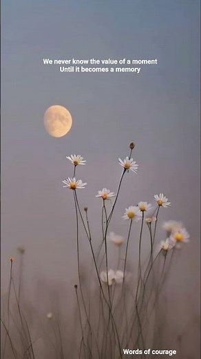 Never Know the Value of a Moment Until It Becomes a Memory | Words of Courage