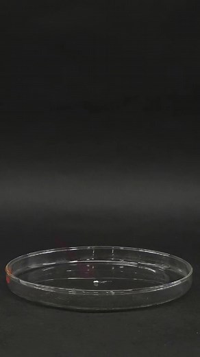 Pouring liquid on it makes a tower! 液体をかけるとタワーができる！？#science #verification