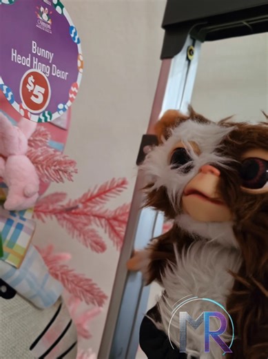 Gizmo is getting into the holiday spirit in the cutest way possible! 💗🐾 Watch as this adorable little star decorates a pink Easter tree with a sweet pink bunny. The result? Pure cuteness overload! If you love adorable pets, cozy holiday vibes, and Gremlins nostalgia, this video will melt your heart. Gizmo proves decorating isn't just for humans — even the tiniest helper can make Easter magical! 🐰✨ #Gizmo #CutePets #EasterVibes #Gremlins #AdorableDog