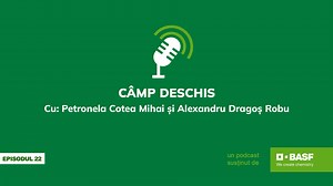 375K views · 76 reactions | Ce înseamnă să scrii un proiect bun...