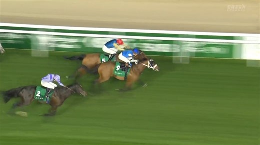 【1351ターフスプリント2026】結果・動画/リーフランナーが押し切る