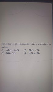 Select the set of compounds which is amphoteric innature.(1) ... | Filo