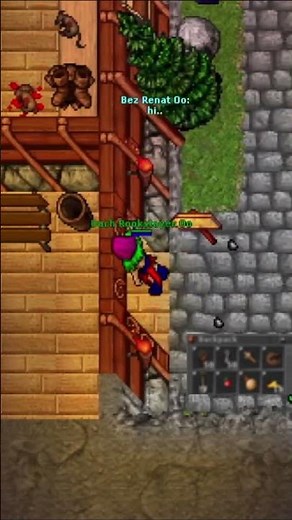 Como tener addon druid en Rookgard #shorts #tibia #rookgard