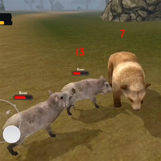 Bear 🐻 Vs Boars 🐗 Wildly Animal Fighting #shorts
