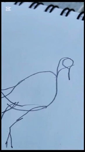 🦆Don't move... I'm sketching! ✎アオサギをスケッチ「動くなーよ 」 #199 #shorts