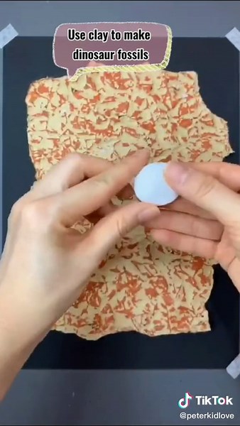 Identifying a Dinosaur Fossil | Fun Kids Art Activity