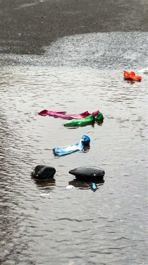 Experiment: Tires Crushing Crunchy Stuff 🚗