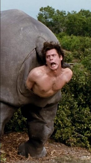 Ace Ventura: When Nature Calls 1995 #rhinoceros #birth #baby #givingbirth #aceventura #jimcarrey