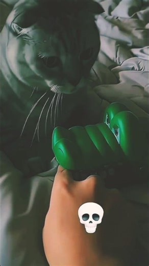 Sigma Cats #sigma #edit #catedits #sigmarule #cat #cats #catshorts