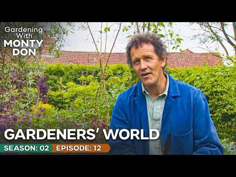Monty’s Vegetable Garden Update | Gardeners' World Season 2 Episode 12