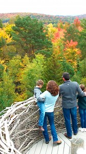 10K views · 189 reactions | This autumn, experience new heights of fall at The Wild Center - one of the first places in New York State to see the changing fall foliage. | The Wild Center | Facebook