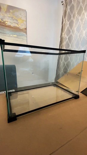 Dart Frog Enclosure Setup🌿🐸#poisondartfrog #dartfrog #frog #reptileroom #animals #enclosure #diy #tutorial #terrarium