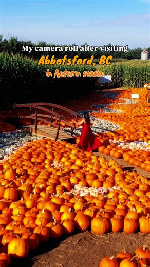 Amit Thakral on Instagram: "Abbotsford in autumn feels like stepping straight into a fall daydream ✨🍂 🍎 𝐓𝐚𝐬𝐭𝐞 𝐨𝐟 𝐀𝐛𝐛𝐲 𝐅𝐚𝐥𝐥 𝐅𝐞𝐬𝐭𝐢𝐯𝐚𝐥 (Sept 19–28) @tasteofabby celebrates the region’s rich farm and food culture with night markets, farm-to-table dinners, and seasonal experiences that showcase the best of the Fraser Valley. 🎃 𝐓𝐚𝐯𝐞𝐬 𝐅𝐚𝐫𝐦𝐬 (Sept 13–Oct 31) @tavesfarms brings the Magic of Fall to life with acres of vibrant apple orchards, the Most Magical Pumpkin Gar