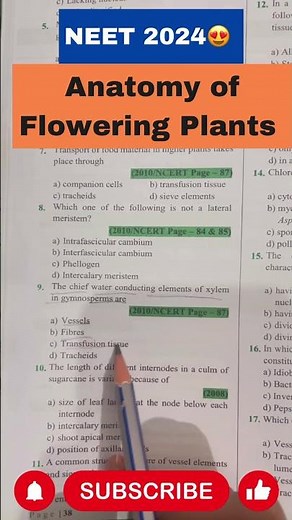 Anatomy of Flowering plants | Class 11 ncert biology | question practice | #neet #neet2024 #biology