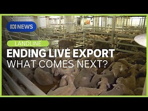 What help should be given to WA farmers as the live export sheep trade ends? | Landline | ABC News