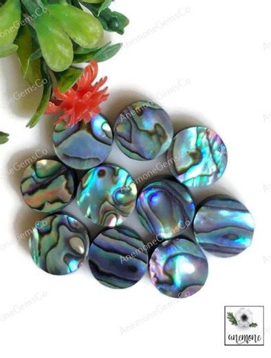 Abalone Shell Cabochons 12mm Round Shape Gemstone, Calibrated Abalone Sea Shell 10 Pcs Lot Use for Rings Jewelry for Pendants - Etsy