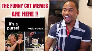 Top 50 funniest "Woman yelling at cat" memes