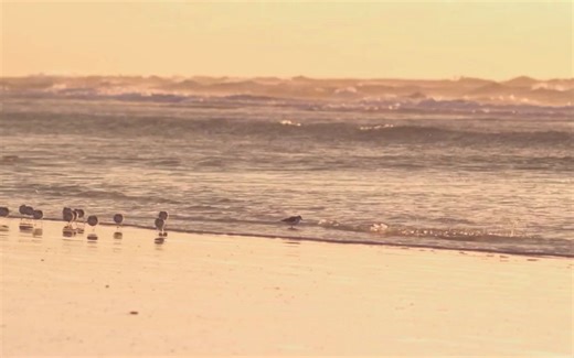 计算机视觉life的店铺【滤波SLAM之MSCKF原理解析与源码详解】