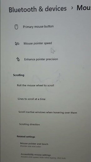 How to change primary mouse button in Windows