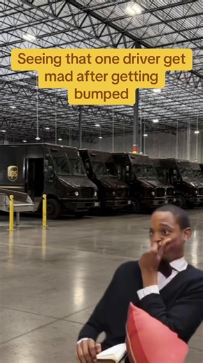 Driver Emotions Unveiled: UPS Life Behind the Scenes