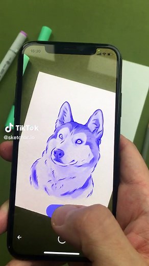 Sketchar mobile app on TikTok