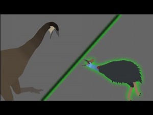 elephant bird vs cassowary but a little more epic!