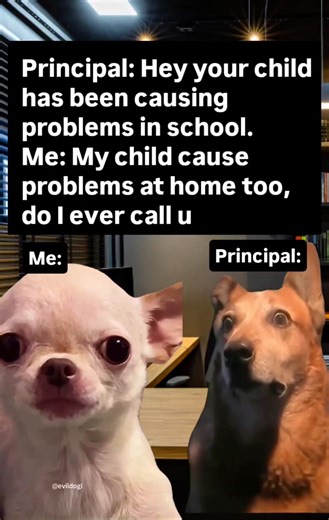 😅😂 Follow this page for more evil, unhinged memes and join the future global meme empire — before this page explodes 😈🔥 ⭐ Evil Dog merch in my bio evildogofficial.com | EvilDog Shamsy