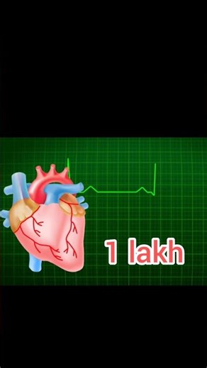 upner heart 1 lakh bae dorpor kora😊😊#facts #amazing #amazingfacts #banglafacts