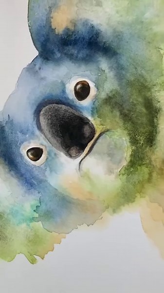 8.7K views · 537 reactions |  Koala timelapse, one of the...