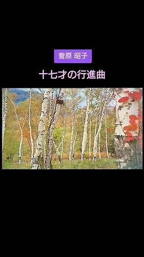 菅原昭子: 十七才の行進曲 - スター誕生! 70年代アイドル