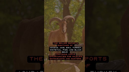 Ranch for sale in Edwards County, Texas overview