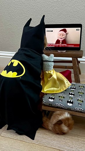 Batman and Robin Rescue Missing Santa in a Fun and Love-Filled Adventure!