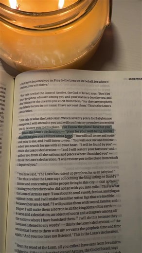 Jeremiah 29:11 #bibleverse #fyp #bibletok #christiantok #dailyverse