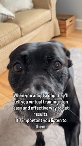 Virtual training allows you to improve behavior while building trust and confidence from the comfort of home. Work with your dog on your own schedule without no rigid class times or stressful commutes 🐾 #traineronretainer #dogtraining #atlantadogs #leashreactivity #talkingdog | Trainer on Retainer Dog Training