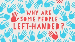 Happy International Left-Handers Day to all the southpaws of the world: http://ow.ly/QRwes | TED-Ed