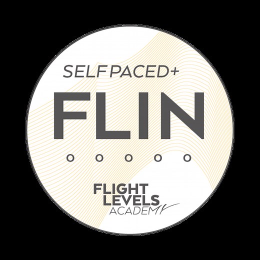 Flight Levels Introduction (FLIN), Self-Paced Online Course | Solve Agile Transformation Gaps