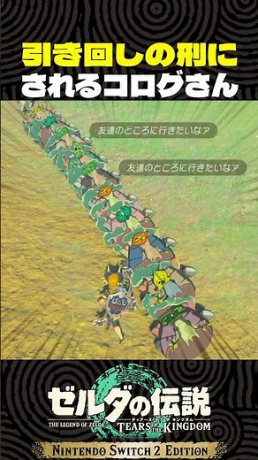 引き回しの刑にされるコログさん御一行【ゼルダの伝説 ティアキン】
