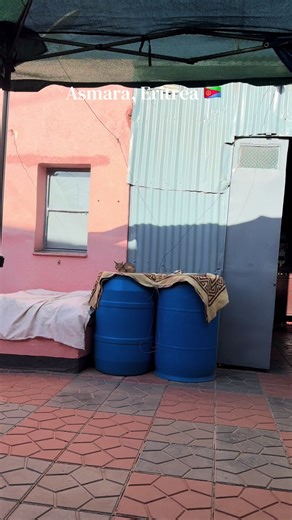 A wonderful day in Asmara, Eritrea 🇪🇷🇪🇷🇪🇷🇪🇷🇪🇷 #eritreantiktok🇪🇷🇪🇷habesha #eritreantiktok #Asmara #eritrean #eri