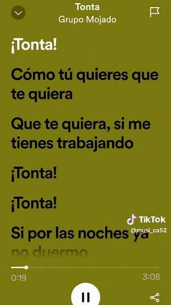 Grupo Mojado - Tonta | Letra de la canción, vídeos y más