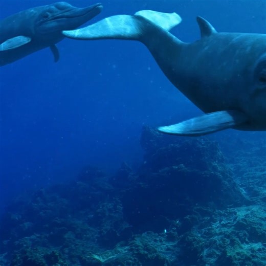 RobertFabiani_art | Models/Textures by me A clip from our latest video Livyatan V Megalodon animation, the full 18 min animation can be viewed on youtube... | Instagram