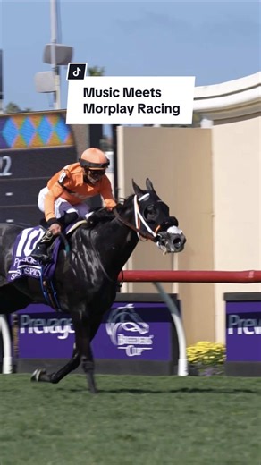 From dropping hits to chasing titles 🎶🏇🏆 Meet @morplayracing , where Billboard hits meet finish-line thrills. Owners of @NTRA Eclipse Champion Shisospicy, they're showing how passion, creativity,and a fearless mindset can make noise in both music and horse racing. #thoroughbred #ottb #racehorse #horsetok #horseracing #eclipse