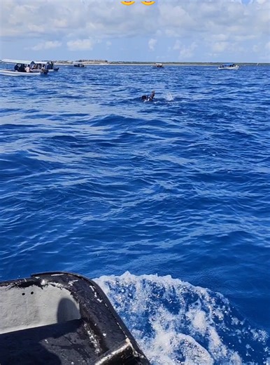 Explore Zanzibar: 6-Day Tours and Safari Packages