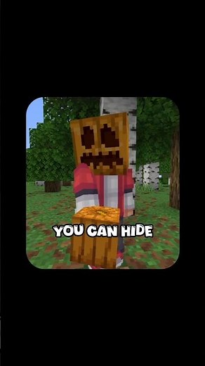 How To Hide From New Locator Bar #minecraftupdate #locatorbar