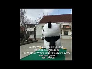 carnival parade dance inflatable panda mascot costume