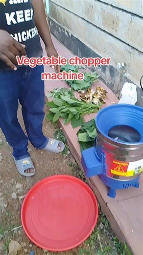 Vegetable chopper machine for poultry #poultryfarm #ukulima #chicken #poultryfarm #poultry