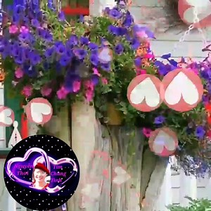 38K views · 1.3K reactions | Tím chung tình on Reels | Facebook