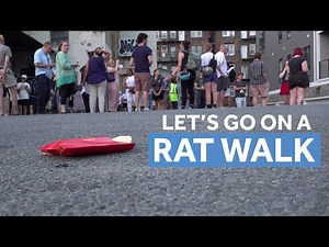 Rat Walk highlights one neighborhood's rodent hotspots