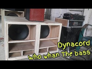 dynacord 12 inch Horegg