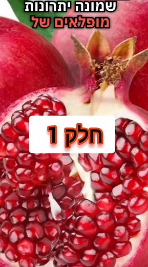 8 יתרונות מופלאים של אכילת רימון # רימונים | Dror Okavi