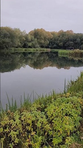 Bossington Est - Horsebridge lake, 4 fish "in the net" Andrew Bufton flies working there magic 🎣🐋🐋🐋🐋